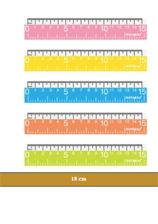 NATARAJ סרגל 18 ס"מ מארז 10 יח ניון