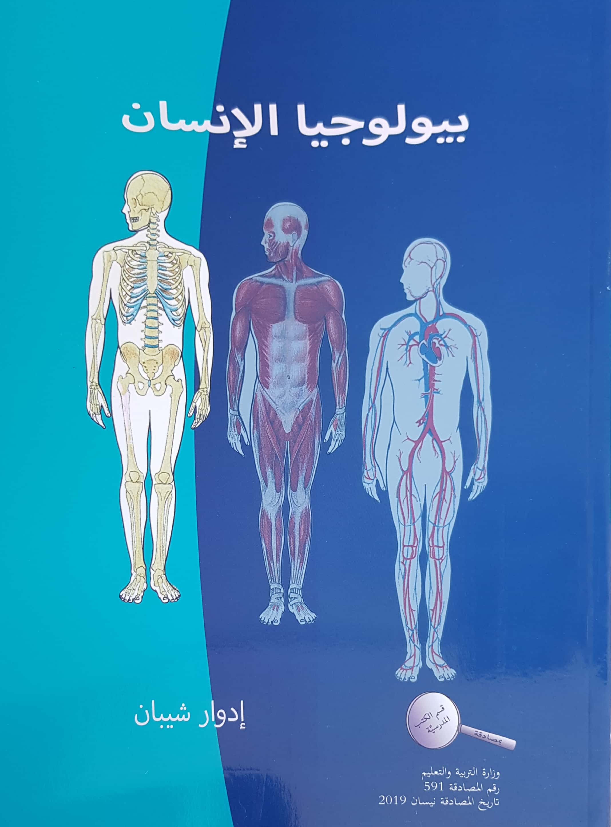 بيولوجيا الإنسان – ادوار شيبان 2019