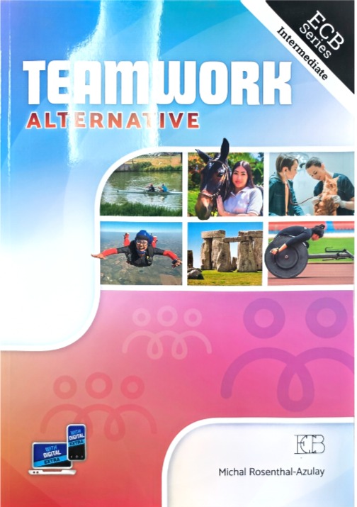 TEAMWORK ALTERNATIVE