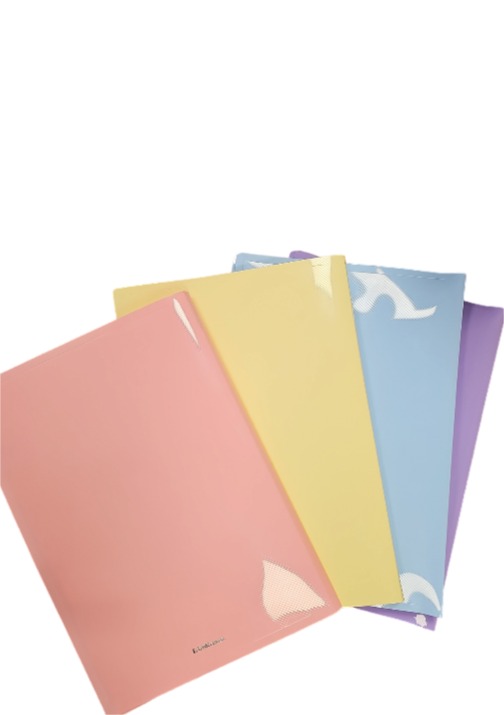 תיק פייל 10 פסטל