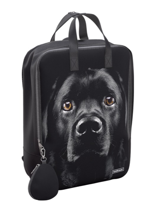 StreetLine תיק 16 לטר BLACK DOG