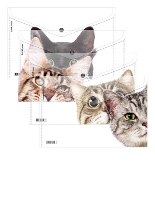 תיק הגשה A4 HIDING CATS