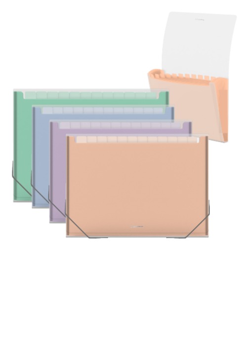 הרמוניקה PASTEL BLOOM  תאים 13 מעורב צבעים A4