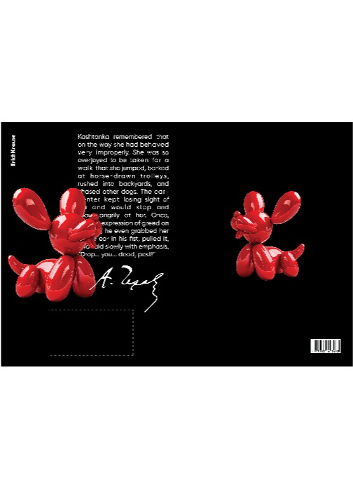 מארז 5+5 יח' עטיפות A4 לספר BALOON DOG